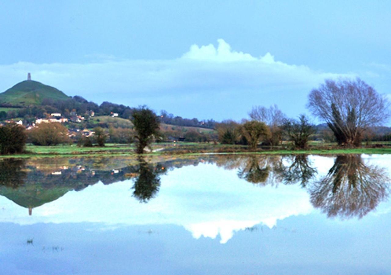 Healing Waters Sanctuary For Exclusive Private Hire And Self Catering Board, Vegetarian, Alcohol & Wifi Free Retreat In Glastonbury Eksteriør bilde