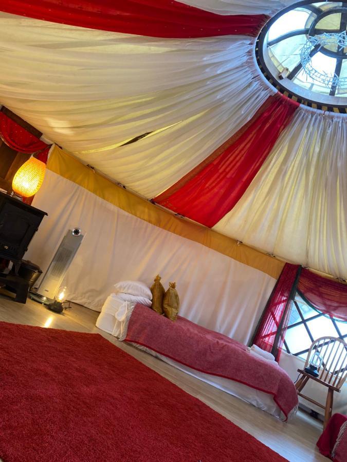 Healing Waters Sanctuary For Exclusive Private Hire And Self Catering Board, Vegetarian, Alcohol & Wifi Free Retreat In Glastonbury Eksteriør bilde