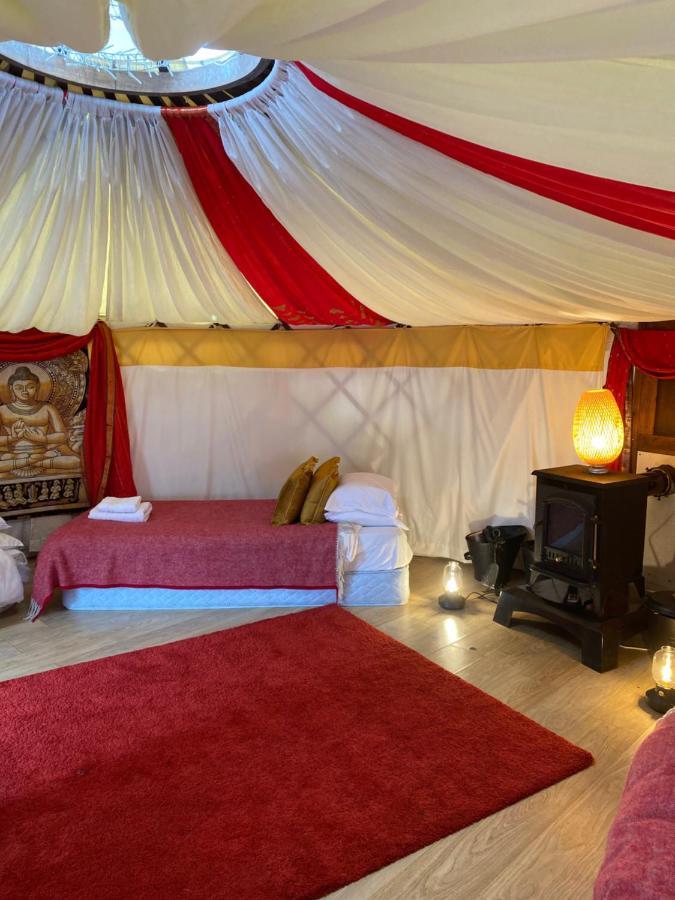 Healing Waters Sanctuary For Exclusive Private Hire And Self Catering Board, Vegetarian, Alcohol & Wifi Free Retreat In Glastonbury Eksteriør bilde