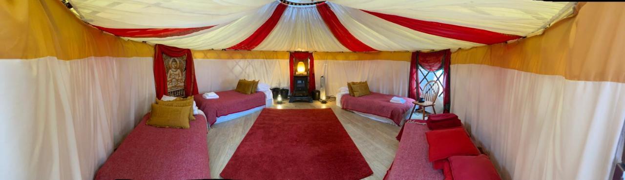 Healing Waters Sanctuary For Exclusive Private Hire And Self Catering Board, Vegetarian, Alcohol & Wifi Free Retreat In Glastonbury Eksteriør bilde
