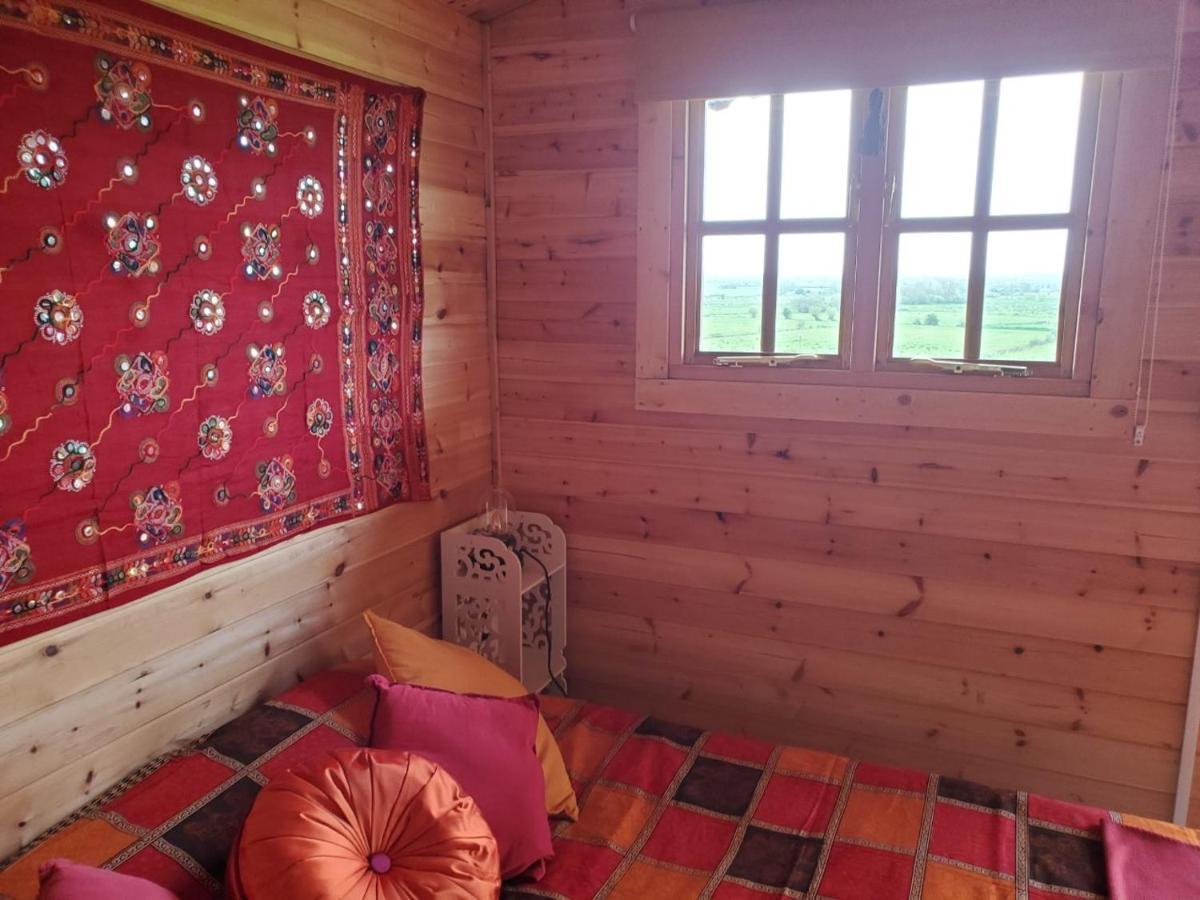 Healing Waters Sanctuary For Exclusive Private Hire And Self Catering Board, Vegetarian, Alcohol & Wifi Free Retreat In Glastonbury Eksteriør bilde
